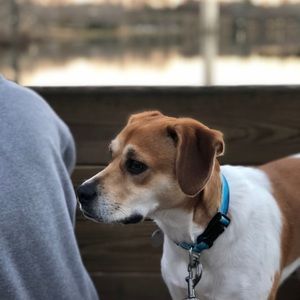 Meet your Posher, Jack